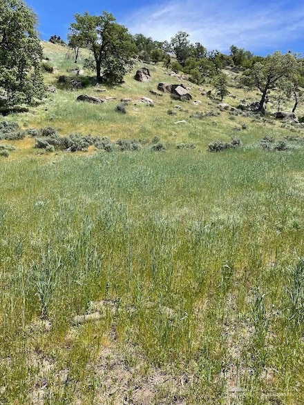 29520 Butterfield Way, Tehachapi, CA 93561