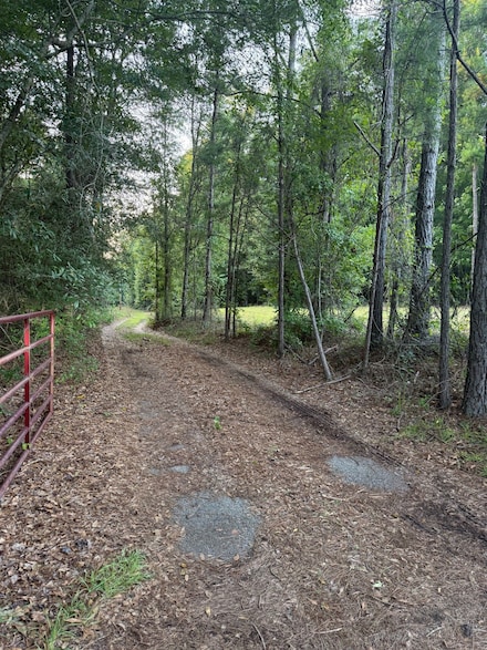 Martha Berry Hwy, Cusseta, GA 31805