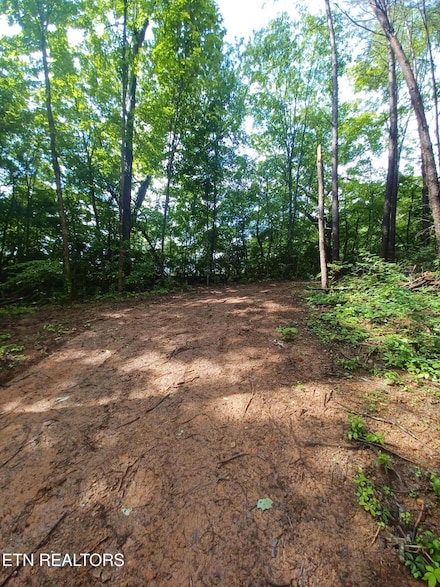 0 Huffaker Dr Off Dr Unit 1303316, Strawberry Plains, TN 37871