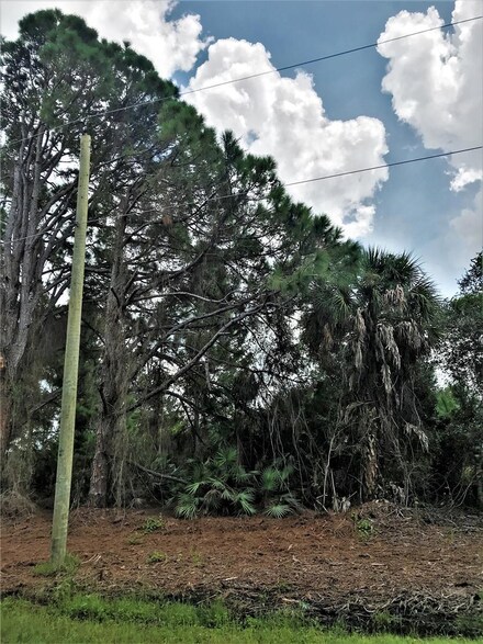 0 Taplin Ave Unit A4511422, North Port, FL 34291