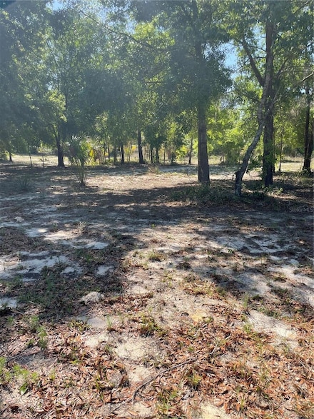 5870 W Junior Ln, Dunnellon, FL 34433