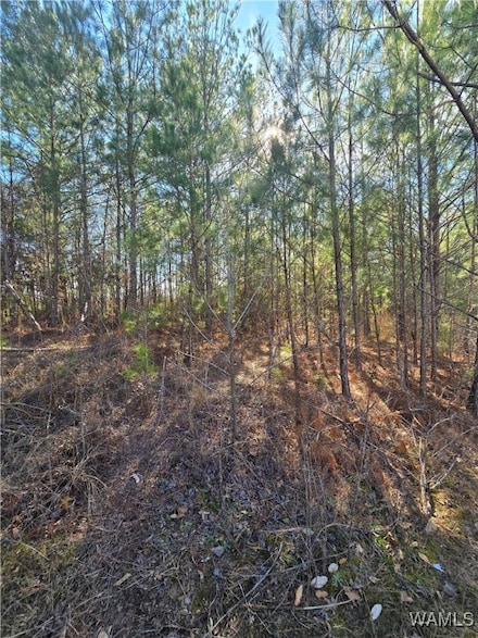 23 Timbertop Ln, Fosters, AL 35463