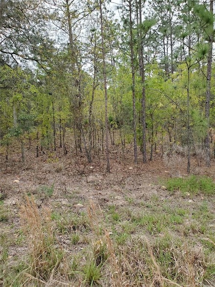 0 SW 136 Terrace Unit OM636592, Dunnellon, FL 34432