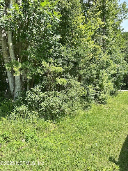 222 W Holtz St, Hastings, FL 32145