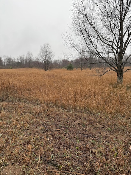 0 Tannerville Rd, Kaleva, MI 49645