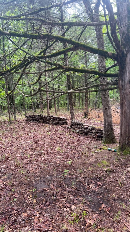 825 Jessi Rd, Swan Township, MO 65653