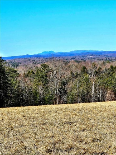 00 Byrd Ridge Rd, North Wilkesboro, NC 28659