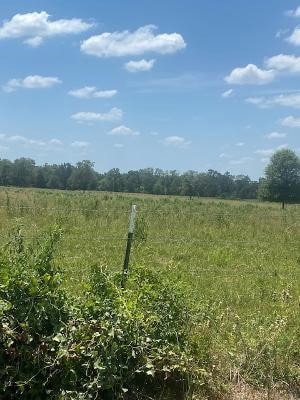 0000 County County Road 117, Bedias, TX 77831