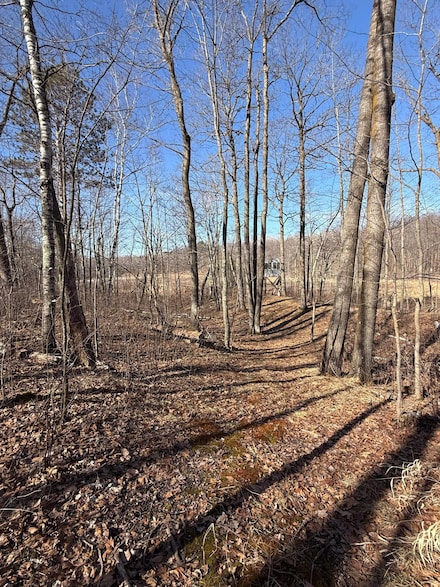 TBD Big Stone Pass, Randall, MN 56475