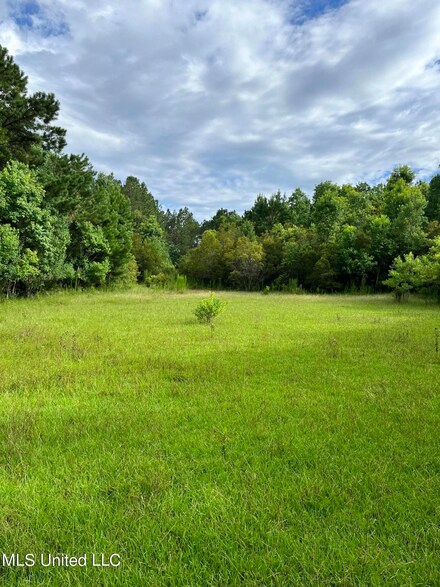 00 Rayford Shumock Rd, Moss Point, MS 39562