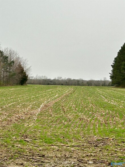 5.8 Acres Scott Rd, Toney, AL 35773