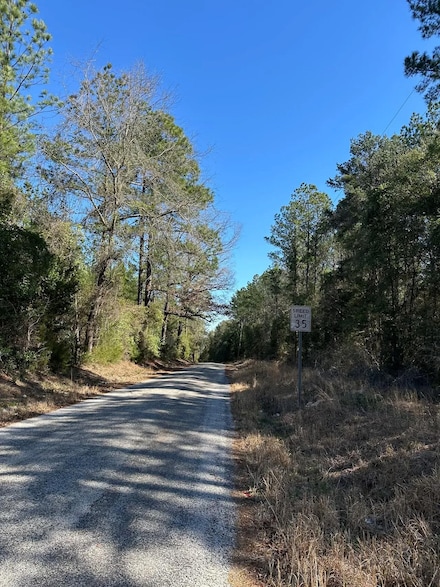 0 W Hwy 84 Unit 23008266, Evergreen, AL 36401