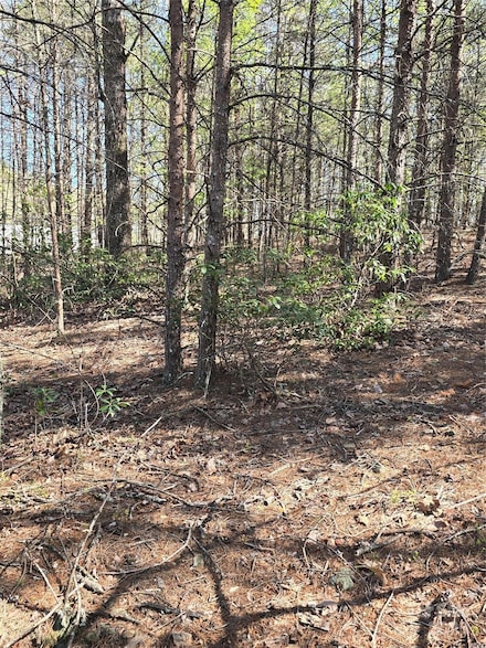 74 Ridge Way, Marion, NC 28752