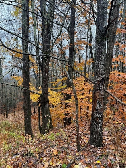 16 Silver Mine Rd, Jefferson, NY 12093