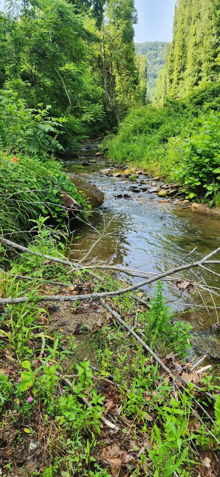 00 Runnett Bag Rd, Ferrum, VA 24088