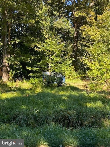 0 Forest Rd Unit DESU2070398, Milton, DE 19968