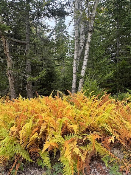 0 Perry's Corner Unit 1640493, Vinalhaven, ME 04863