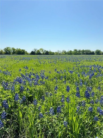 5.01 Acres Farm To Market 308, Penelope, TX 76676