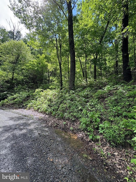 151 Tomahawk Trail, Winchester, VA 22602