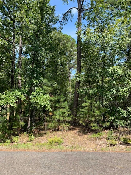 15 Promesa Ln, Hot Springs Village, AR 71909