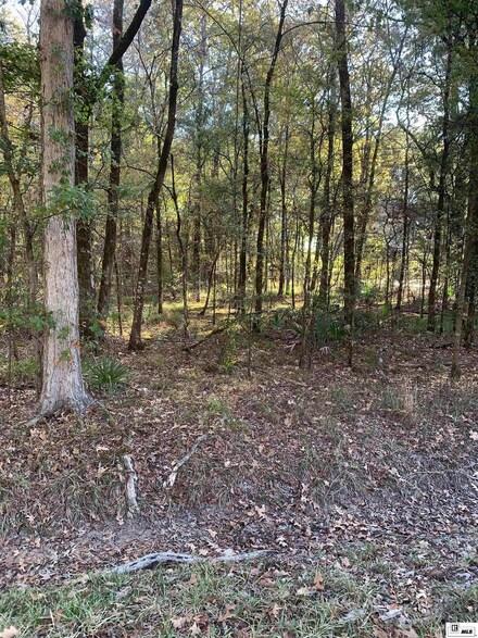 0 Weatherford Rd Unit 207900, D, LA 71202