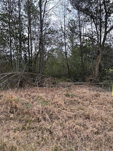 0 Salco Rd Unit 7523872, Axis, AL 36505