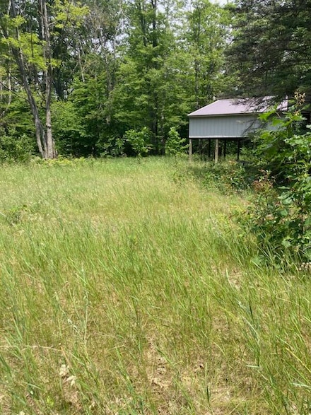 7347 Paradise Trail, Carp Lake, MI 49718