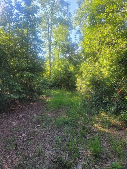 00 Lewis, Cairo, GA 39828