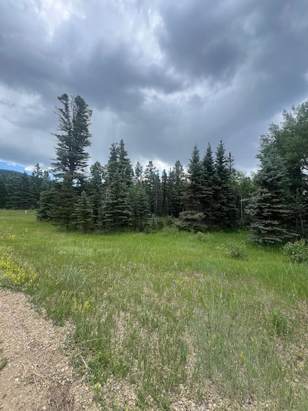 0 Elk Meadow, Angel Fire, NM 87710