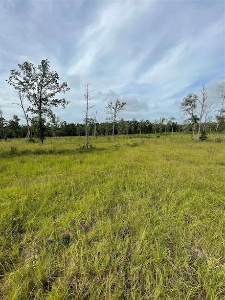 TBD Farm Market 3152, Livingston, TX 77351