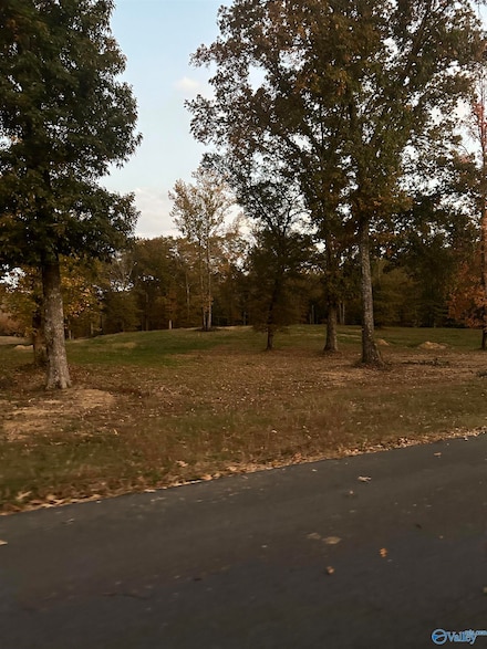 123 River Bend Rd, Altoona, AL 35952