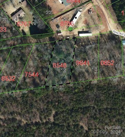 tbd Biggerstaff Loop Unit lot 12, Nebo, NC 28761