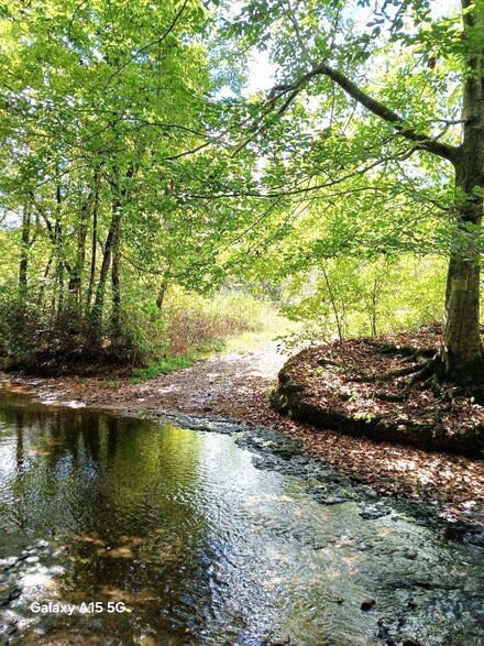 300 Rush Branch Rd, Hohenwald, TN 38462