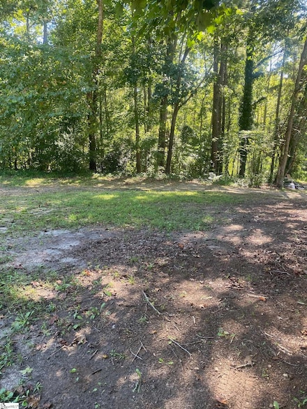 00 S 221 Hwy, Laurens, SC 29360