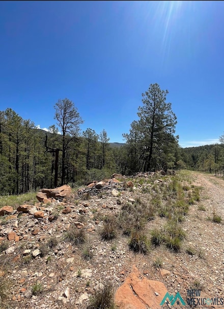 29 Beauregard Dr, Timberon, NM 88350