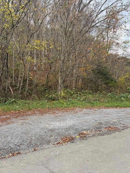TBD Hurt Buggy Rd, Cedar Bluff, VA 24609
