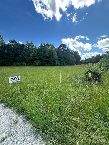 301 Sweet Gum Rd, Cowpens, SC 29307