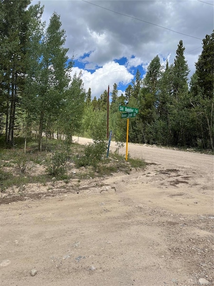 235 Skidoo Rd Unit 8, Fairplay, CO 80440