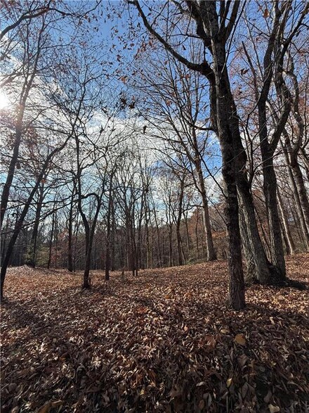 0 Orchard Rd Unit 7681112, Jasper, GA 30143