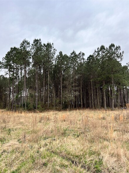 1670 Road 3560, Cleveland, TX 77327