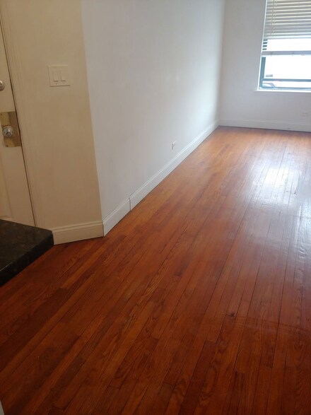 307 E 50th St Unit A, Chicago, IL 60615