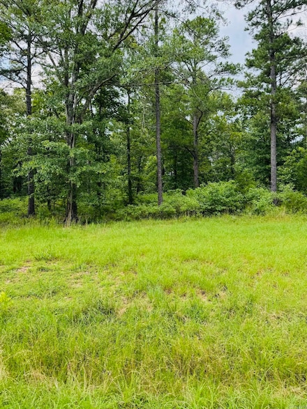 Lot 48 Primrose Creek, Heber Springs, AR 72543