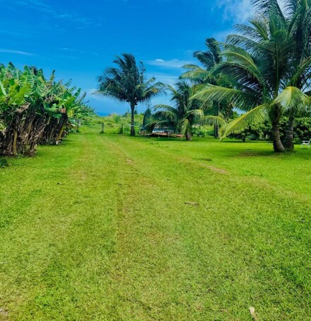 1152 Hookili Rd Unit B, Haiku-Pauwela, HI 96708