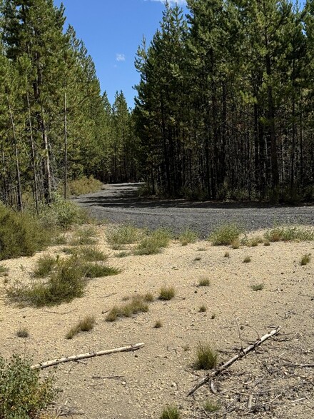 0 Bunny Butte Rd Unit 10 220188917, Crescent Lake, OR 97733