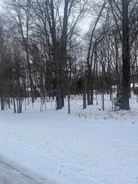 Lot 17 S Seeley Dr, Homer Township, MI 48640