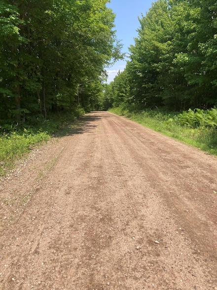 0 Heath Hill Rd, Dickinson Center, NY 12930
