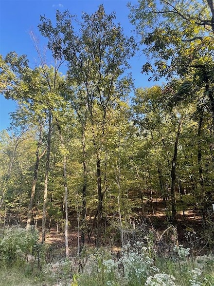 767 Timber Creek Trails South Xl, Broken Bow, OK 74728