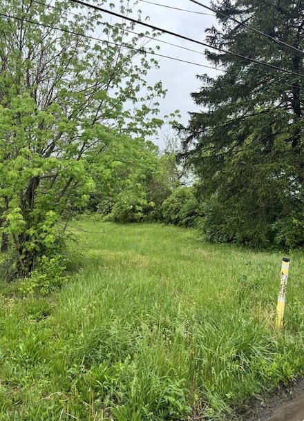 572 Elwood Ave Unit Lot 113, Columbus, OH 43207