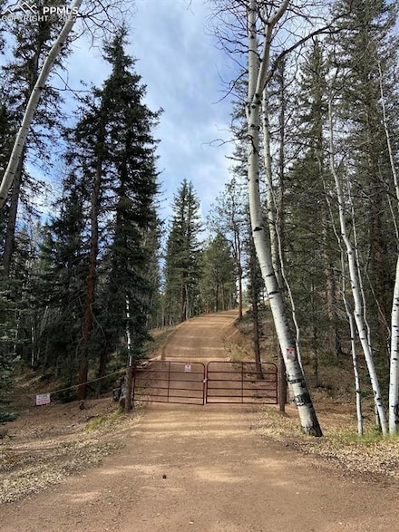 5508 Skycrest Ct, Divide, CO 80814