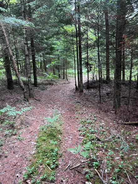 0 Cannon Corners Rd, Mooers Forks, NY 12959